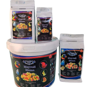 MEYVELİ 1 KG BeautifulFood Kuş Maması